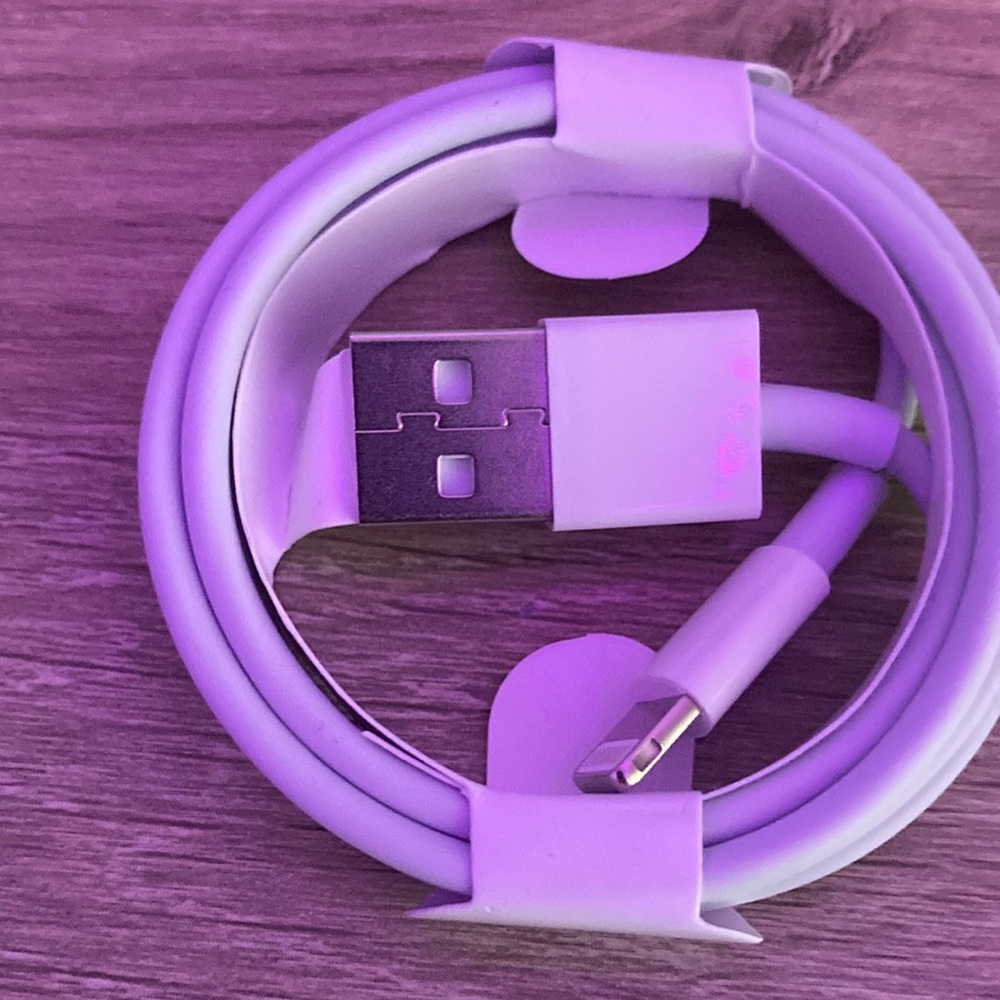 iPhone charger